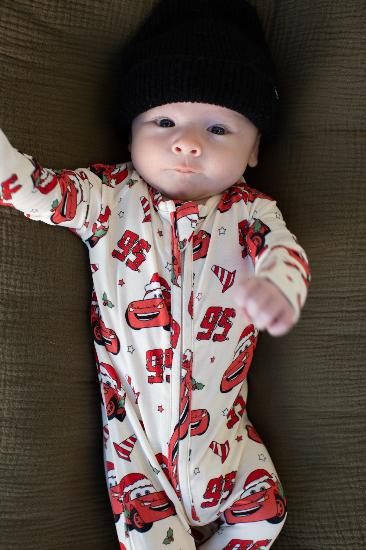 Merry McQueen: Zippy