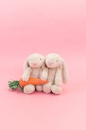 Bunny Stuffie